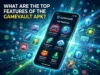 What are the top features of the Gamevault Apk? What are the top features of the Gamevault Apk?